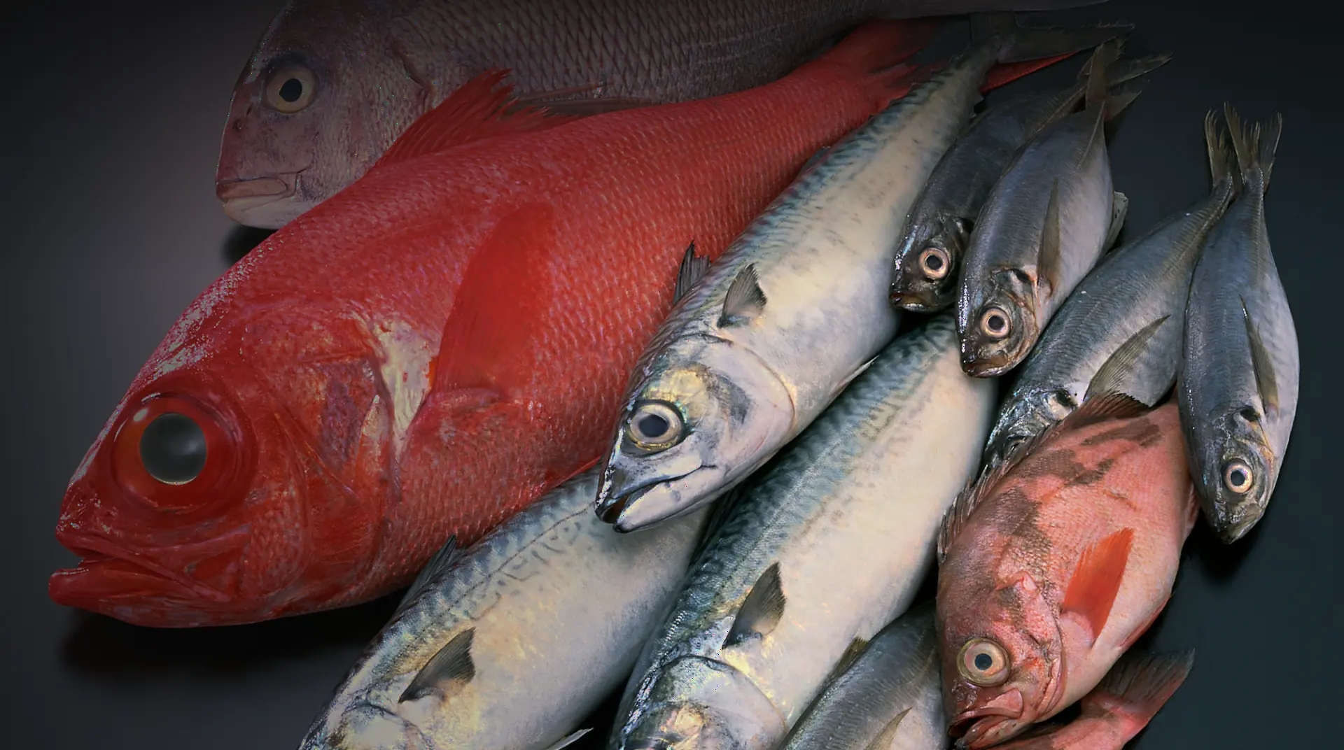 Whole Japanese alfonsino, sea bream, mackerel and rockfish