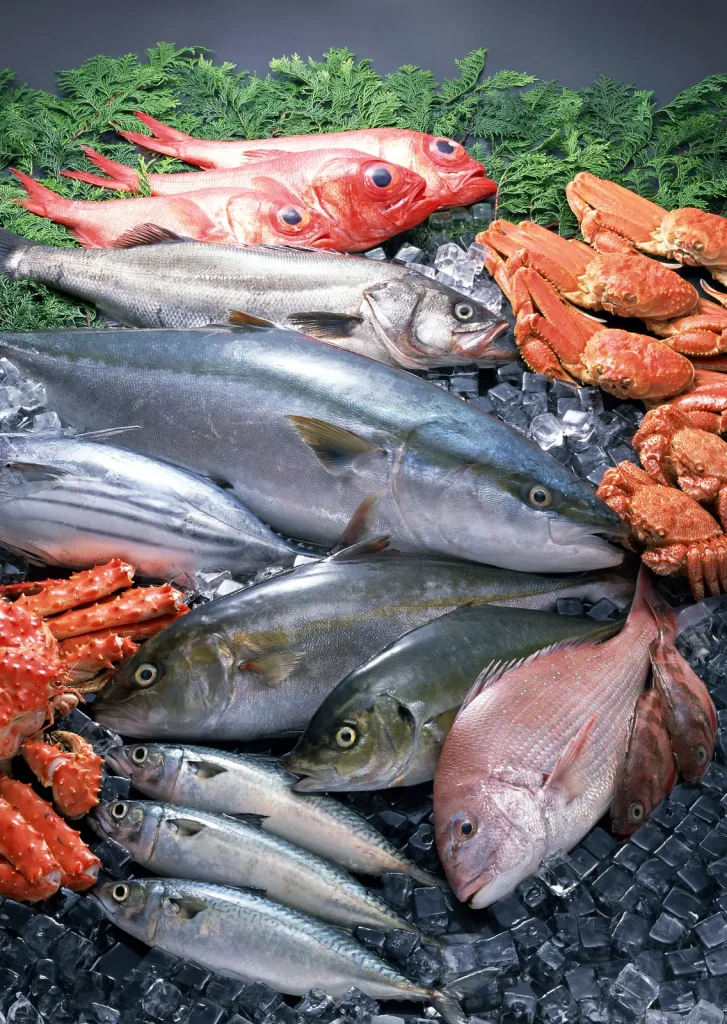 Fresh Japanese seafood on ice including yellowtail, amberjack, sea bream, snow crab and king crab legs